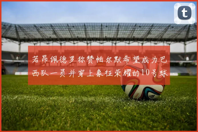 若昂佩德罗称赞帕尔默希望成为巴西队一员并穿上象征荣耀的10号球衣